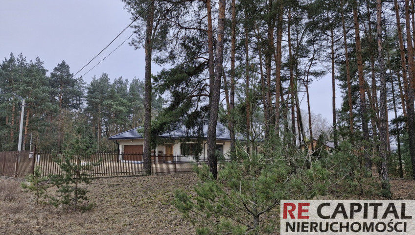 Działka Sprzedaż Adelin