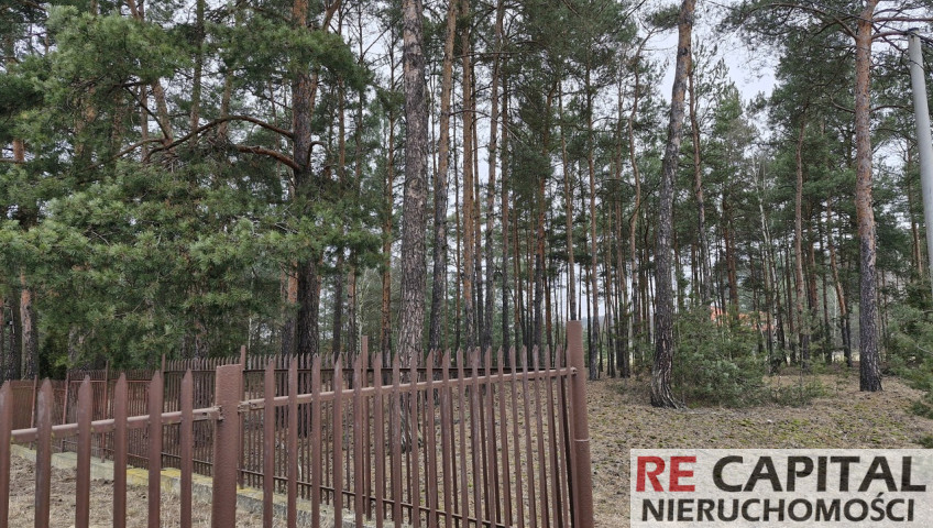 Działka Sprzedaż Adelin