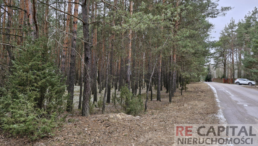Działka Sprzedaż Wysychy Leśna