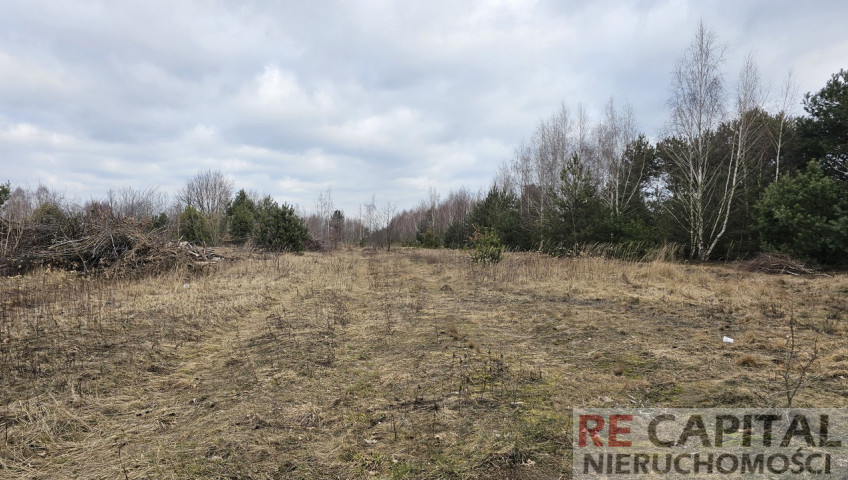 Działka Sprzedaż Borzęcin Mały Kosmowska