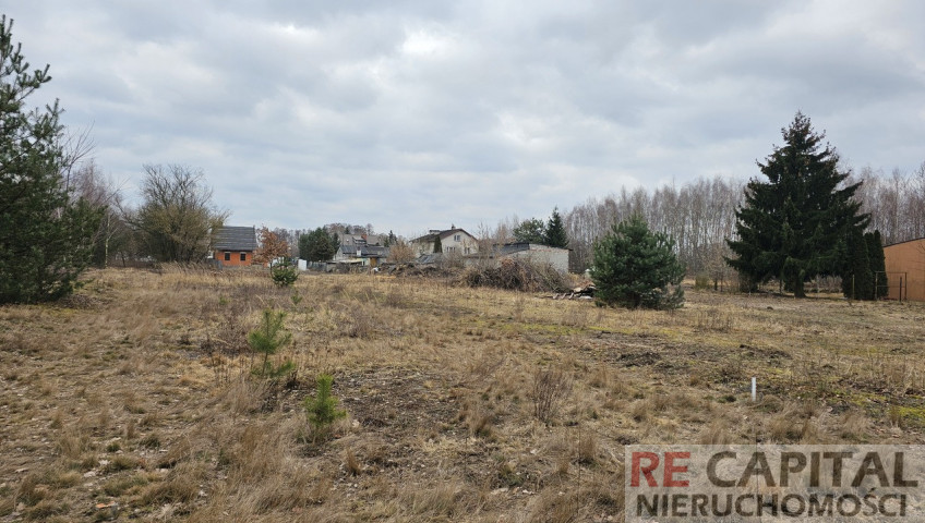 Działka Sprzedaż Borzęcin Mały Kosmowska