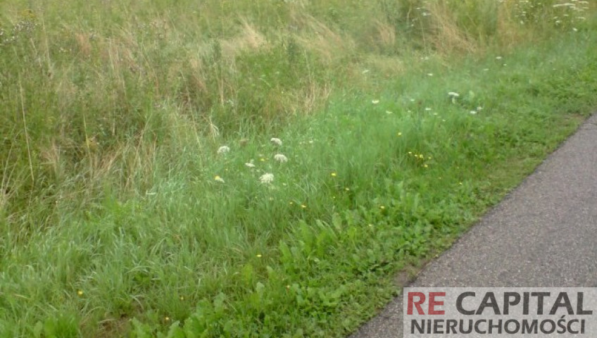 Działka Wynajem Stare Babice